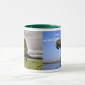 Mok van Afrikaanse olifanten (Midden)