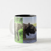 Mok van Afrikaanse olifanten (Voorkant links)