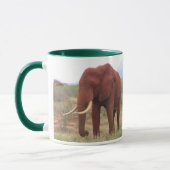 Mok van Afrikaanse olifanten (Links)