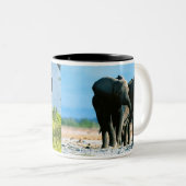 Mok van Afrikaanse olifanten (Voorkant rechts)
