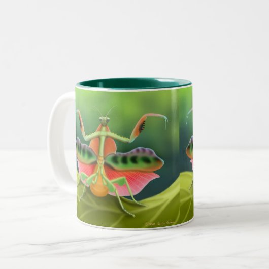 Mok van Afrikaanse Praying Mantis (Voorkant links)