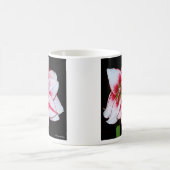 Mok van Amaryllis (Center)