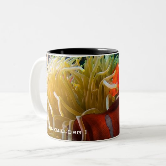 Mok van Anemonefish koffie (Voorkant links)