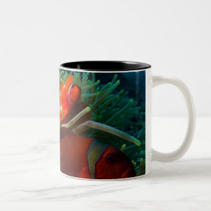 Mok van Anemonefish koffie