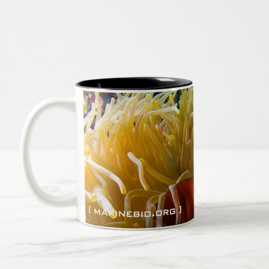 Mok van Anemonefish koffie (Links)