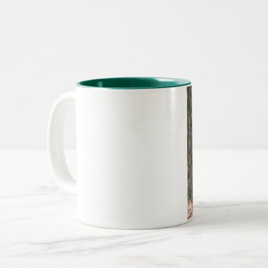 Mok van backyard Beaver (Voorkant links)