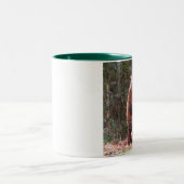 Mok van backyard Beaver (Center)