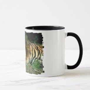 Mok van Bengal Tiger Coffee