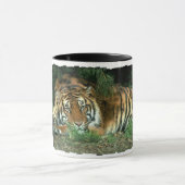 Mok van Bengal Tiger Coffee (Midden)