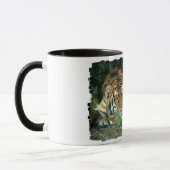 Mok van Bengal Tiger Coffee (Links)