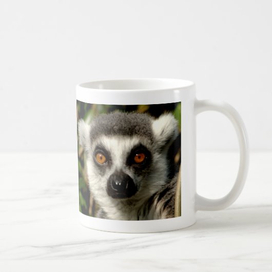 Mok van Bewilde Lemur (Rechts)