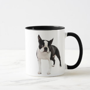 Mok van Black and White Boston Terrier Cup
