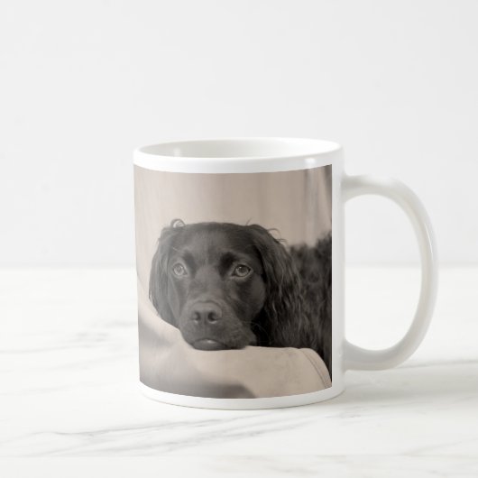 Mok van Boykin Spaniel Coffee (Rechts)