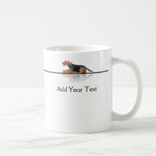 Mok van Brown and Black Welsh Terrier