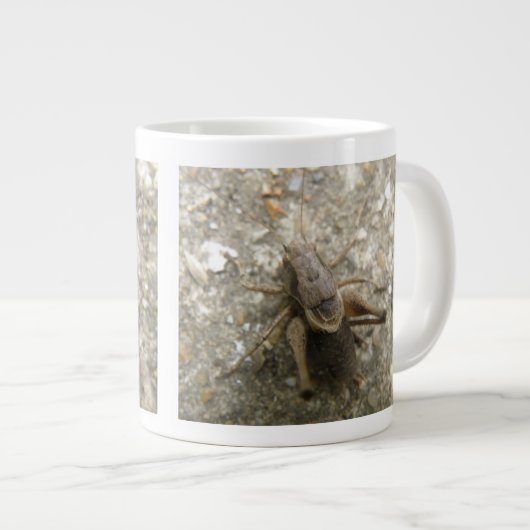 Mok van bruine velcricket (Voorkant rechts)