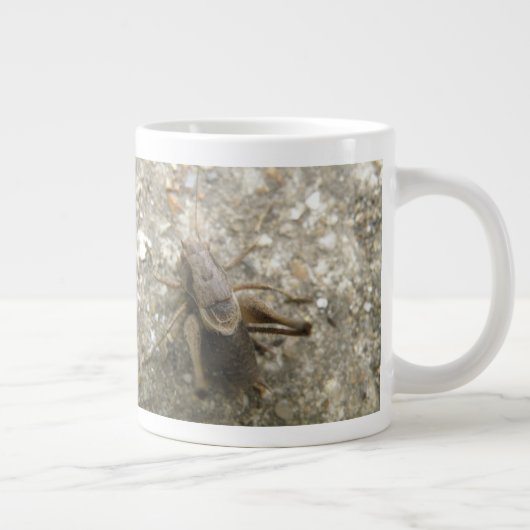 Mok van bruine velcricket (Rechts)