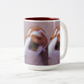 Mok van cavia's (Voorkant rechts)