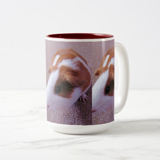 Mok van cavia's (Voorkant rechts)