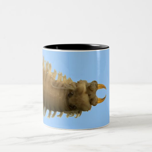 Mok van Conqueror Bristleworm (Center)