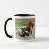 Mok van Cretan Goat (Links)