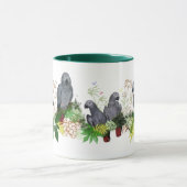 Mok van de Afrikaanse Grijze Partij (Midden)