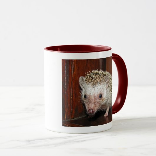 Mok van de Afrikaanse Pygmy Hedegel (Voorkant rechts)