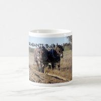 Mok van de American Brabant Association
