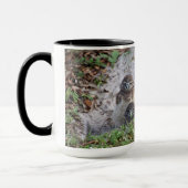 Mok van de baby-boedel (Links)