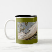 Mok van de baby geverfde schildpad (Links)