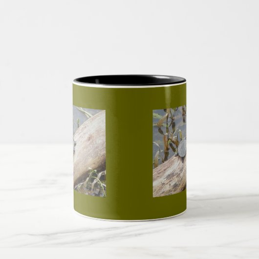 Mok van de baby geverfde schildpad (Center)