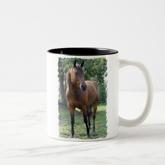 Mok van de Bay Thoroughbred Horse Coffee (Rechts)