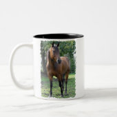 Mok van de Bay Thoroughbred Horse Coffee (Links)