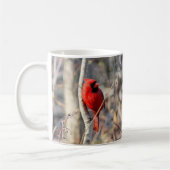 Mok van de dwarse doorn van de hoofdgordel (Links)