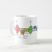 Mok van de elektronenvervoersketen (Voorkant links)