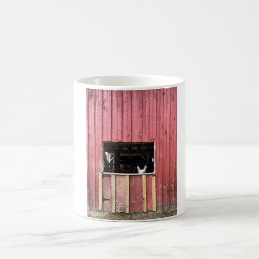 Mok van de ezel (Center)