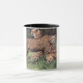 Mok van de familie Cheetah (Midden)