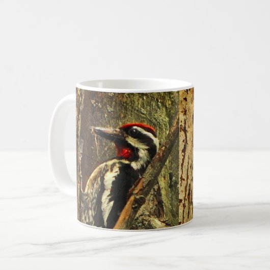 Mok van de geelbuik Sapsucker (Voorkant links)