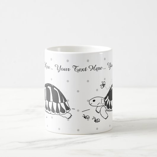 Mok van de Hermann in Tortoise (Center)