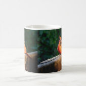 Mok van de hoofdsteunen (Center)