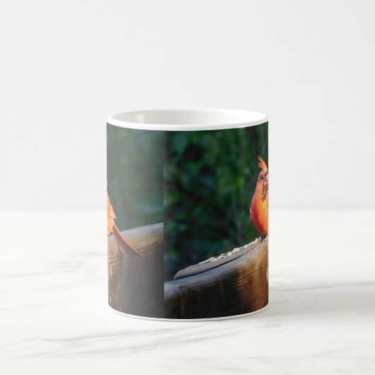 Mok van de hoofdsteunen (Center)