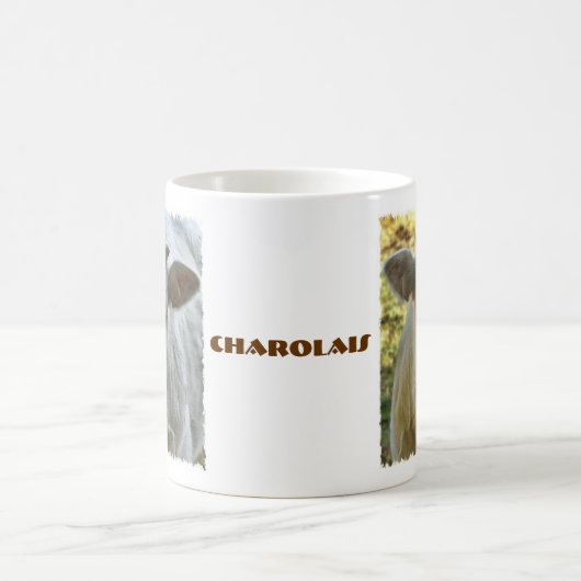 Mok van de koeienziekte van Charolais (Center)