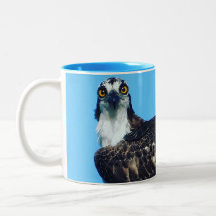 Mok van de koffiebeker van de vogels - Osprey - Vo