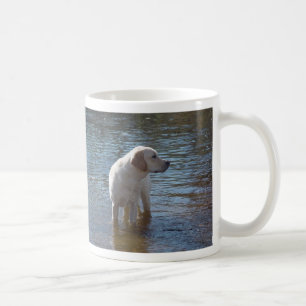 Mok van de labrador Retriever bij het meer