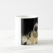 Mok van de neus dicht bij de hond (Center)