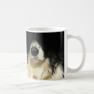 Mok van de neus dicht bij de hond