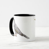 Mok van de Noisy Miner (Voorkant links)