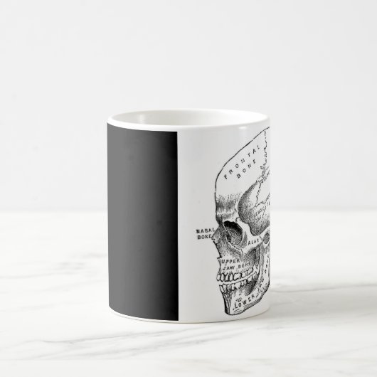 Mok van de schedel koffie/thee (Center)
