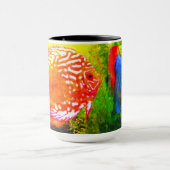 Mok van de vissoort Discus aquarium (Midden)