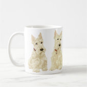 Mok van de Wheaten Scottish Terrier (Links)