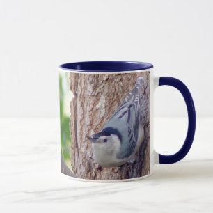Mok van de witte zeebrasem Nuthatch Bird